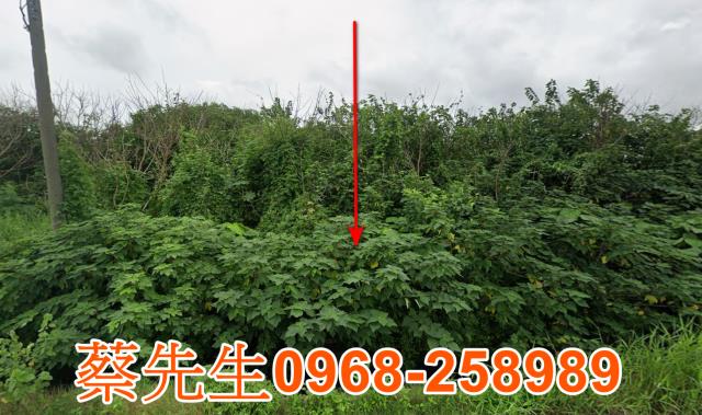 東勢四美路農舍地興建農舍種植農作物