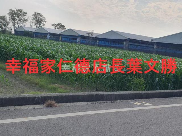 台南西港農地-1