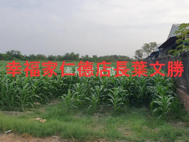 台南西港農地-5