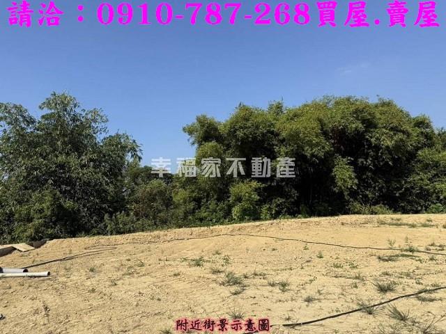 台南楠西農地-1