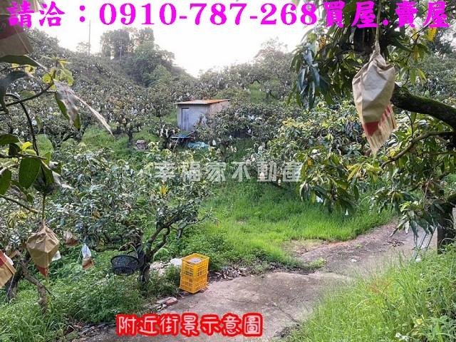 台南玉井農地-12