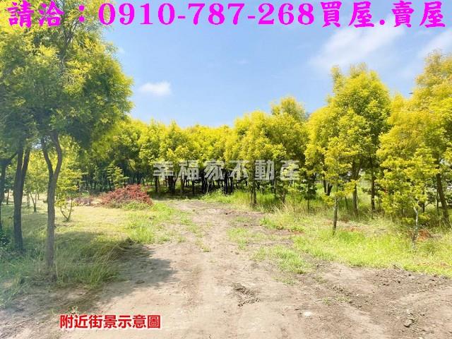 台南六甲農地-2