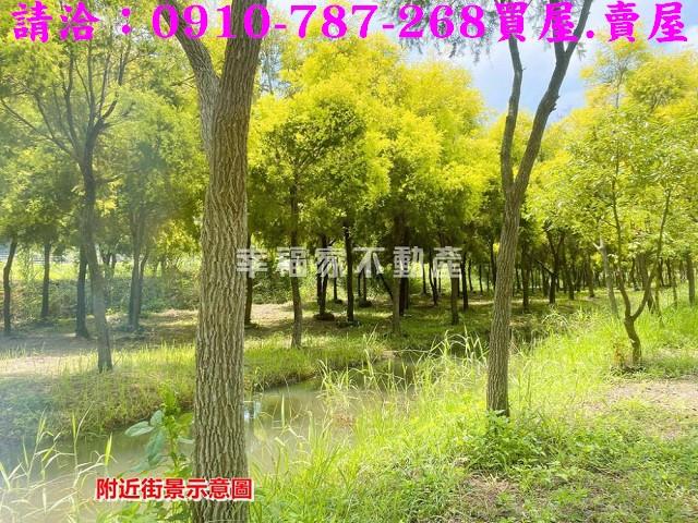 台南六甲農地-8