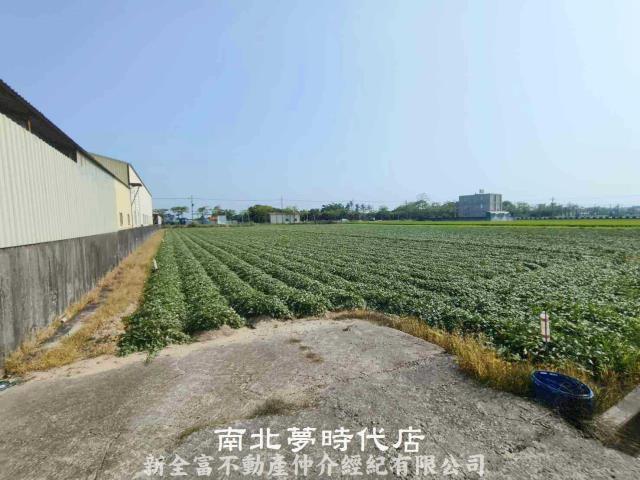 新市農地-5