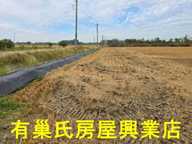 台南農地-4