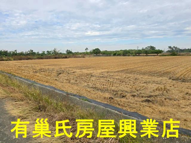 台南農地-7