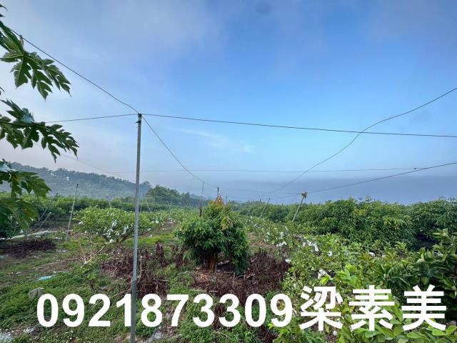 台南土地農地工業地建地廠房農舍道路用地