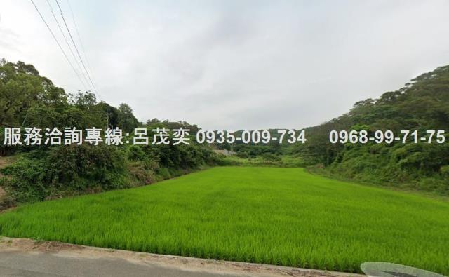 苗栗造橋臨路平坦農牧用地田園創業首選山坡地保育區田園創業自耕