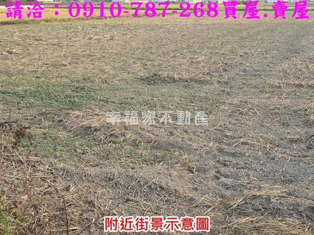 台南官田農地-2