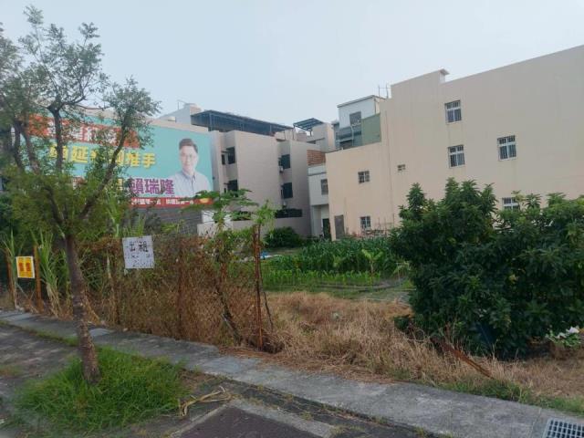 林園石化三路建地