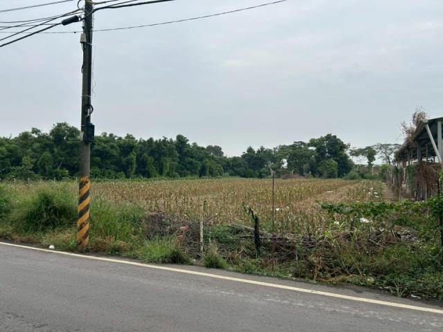 高雄大寮農地-1