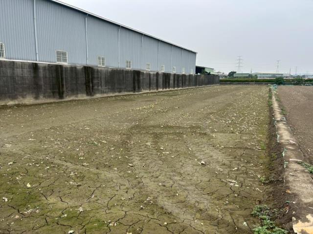 高雄大寮農地-3