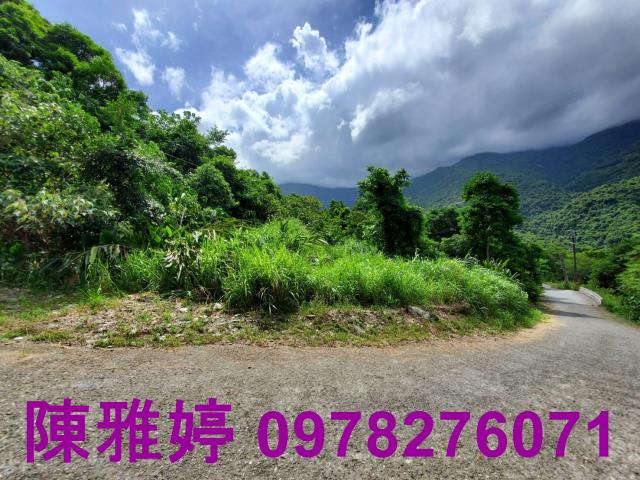 台東卑南農地-8