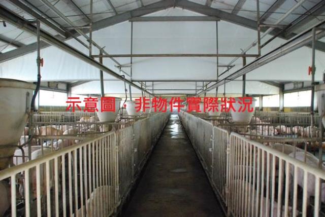 彰化二林農地土地畜禽畜牧證肉豬養豬太陽能光電投資開發出售