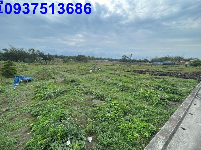 宜蘭縣壯圍鄉壯濱三段農地出售