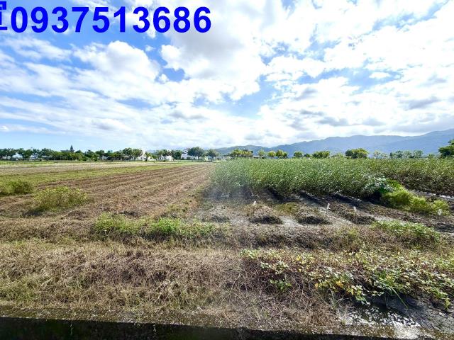 宜蘭縣三星鄉新萬貴段農地出售