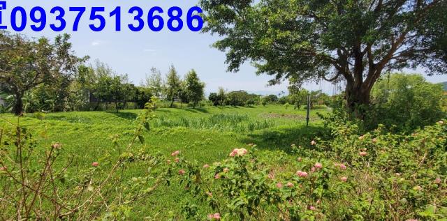 宜蘭礁溪農地-13