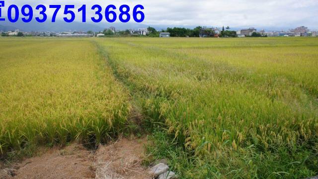 宜蘭宜蘭市農地-9