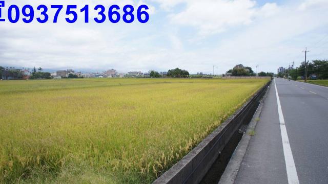 宜蘭宜蘭市農地-1