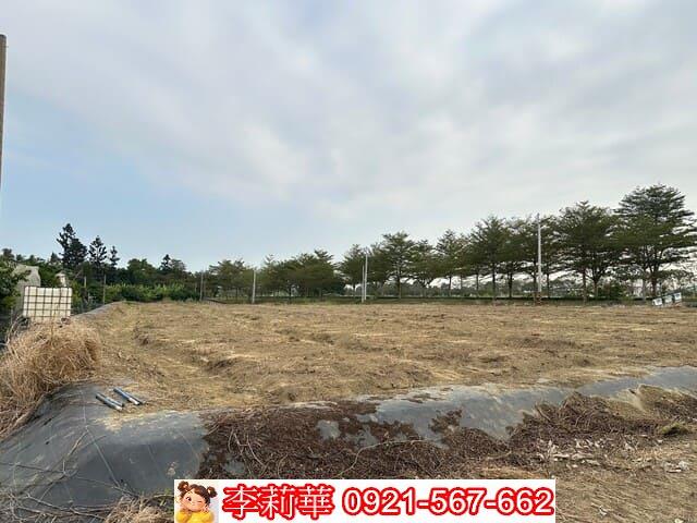 台南新化農地-4