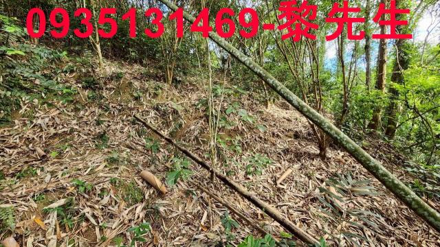 新竹北埔農地-4