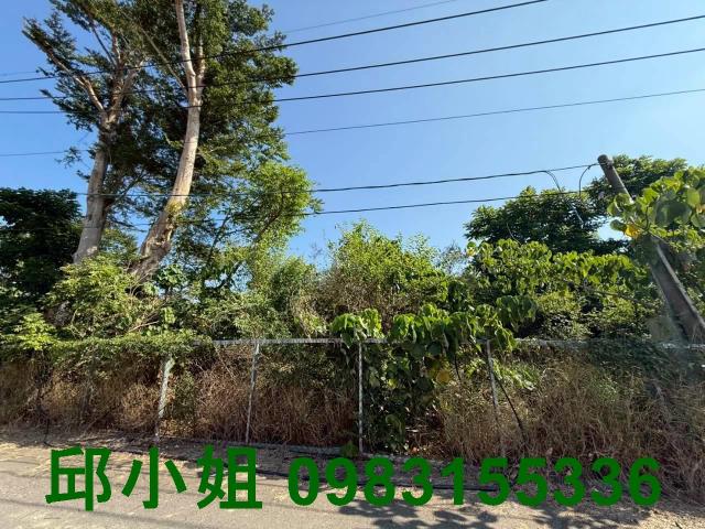 嘉義買房賣房房地合一稅建地農地