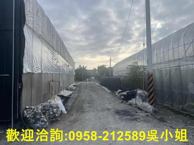 南投埔里農地-11