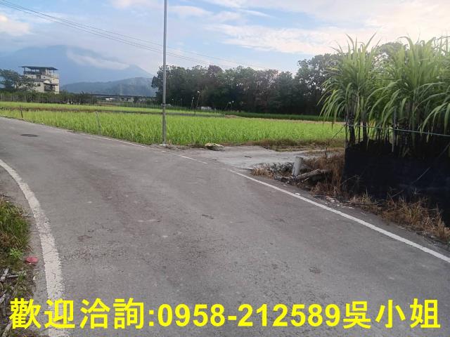 南投埔里農地建地徵收地重劃地工業地透天華廈買賣租賃