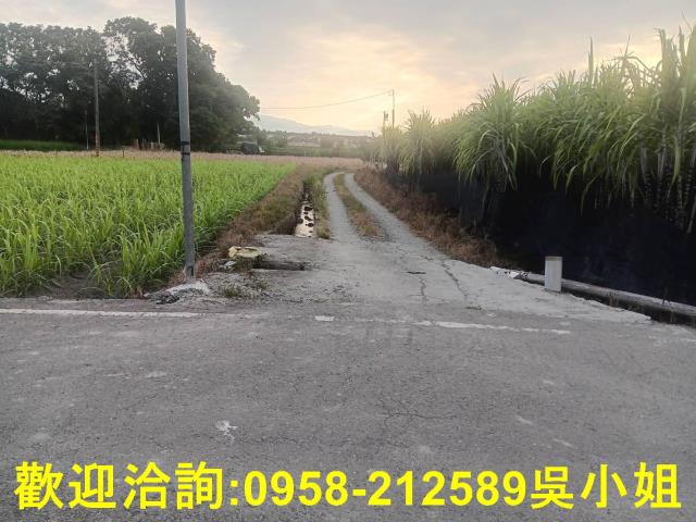 南投埔里農地-2