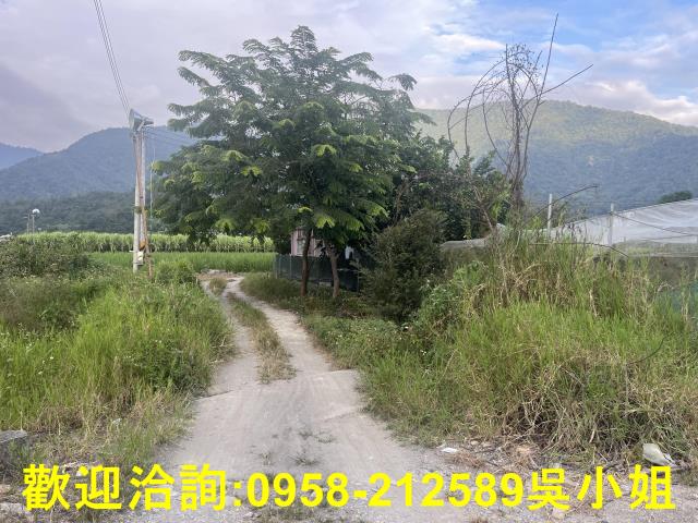 南投埔里農地-4