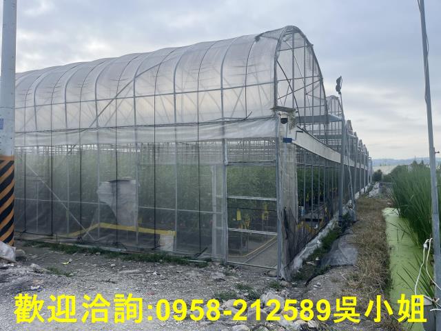 南投埔里農地-7