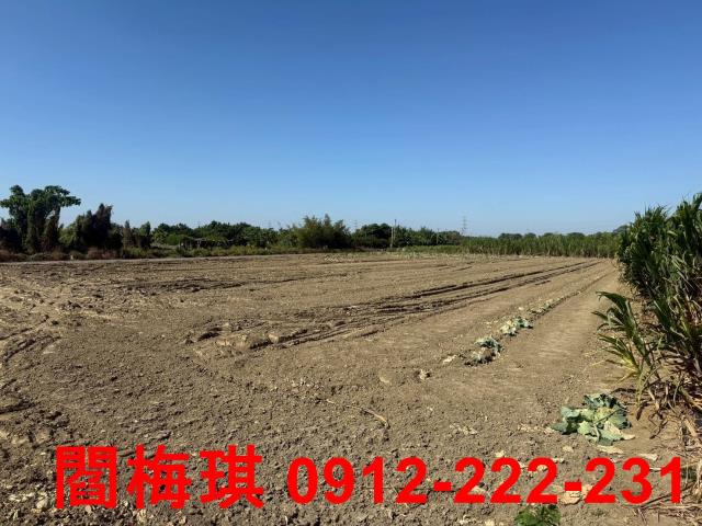 善化台19甲線農地