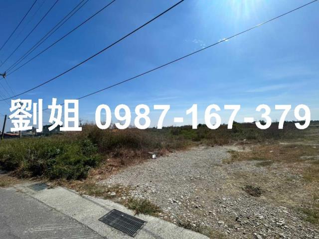 安南便宜高投報建地