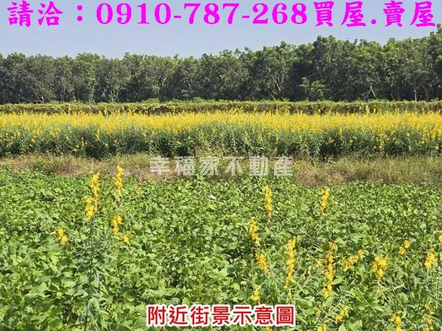 台南農地-3