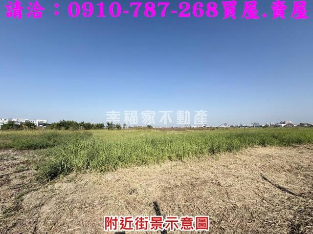 台南善化建地-4