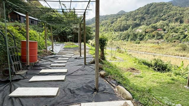 新竹橫山農地-12