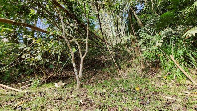 新竹北埔農地-11