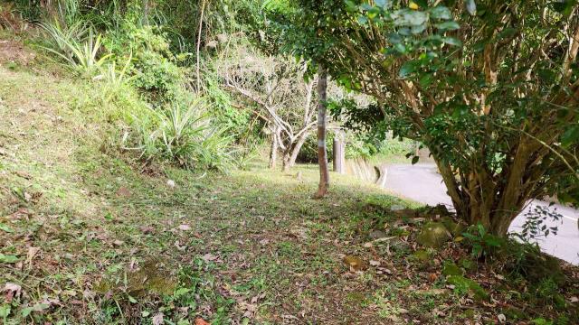 新竹北埔農地-7