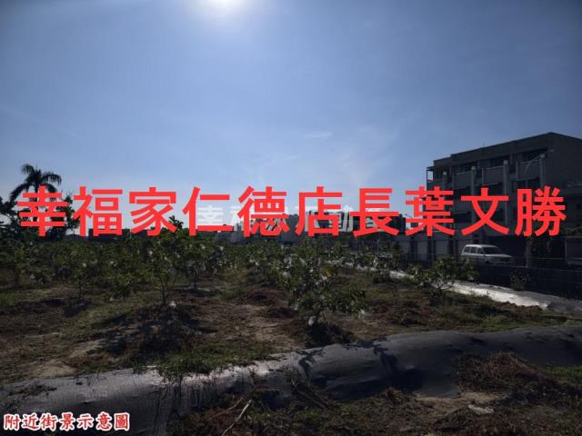 安南區新寮都內美農地