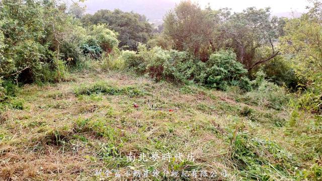 楠西龜丹農保農地