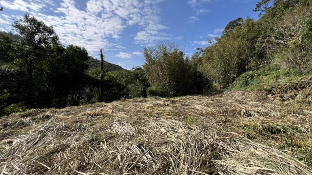 新竹縣關西鎮建地農地農舍休閒地