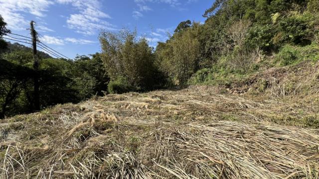 新竹關西建地-2