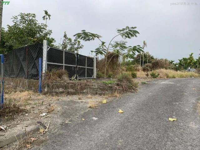 屏東高樹農地-9