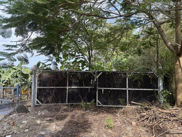 屏東高樹農地-0