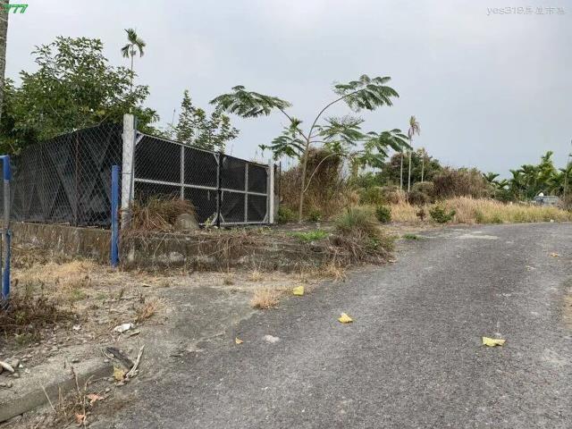 屏東高樹農地-3