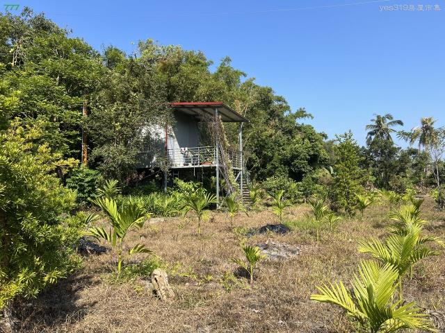 高雄旗山農地-1