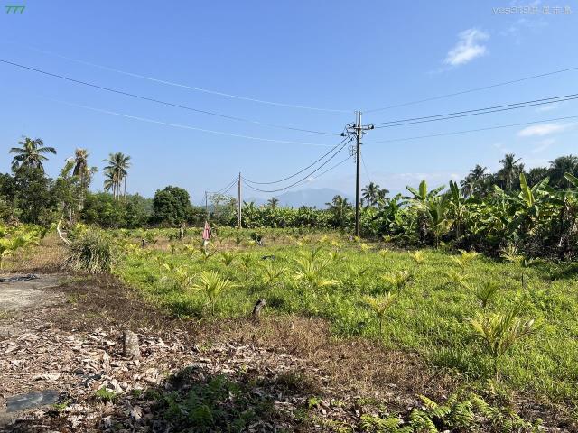 高雄旗山農地-7