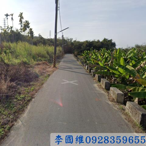 嘉義民雄法拍農地-1