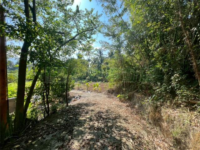 高雄旗山農地-6