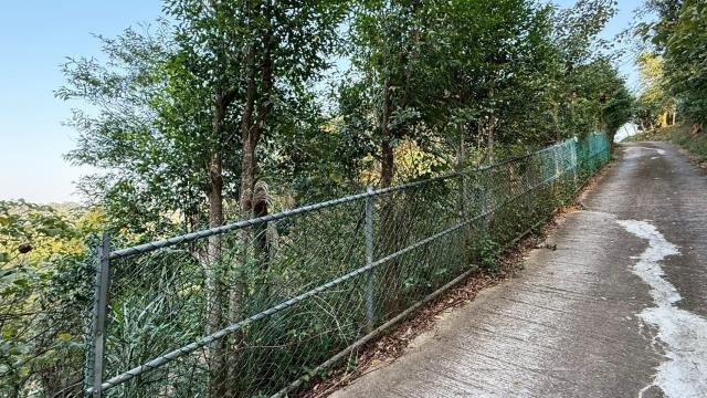 新竹關西農地-1